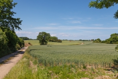 Gegend bei Maasholm