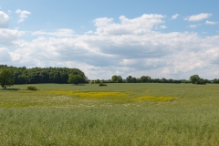 Gegend bei Maasholm