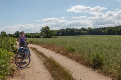 Gegend bei Maasholm