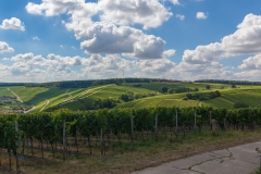 Weinberge in Franken bei Volkach