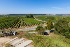 Fahrradtour durch die Weinberge in Nordheim bei Volkach am Main