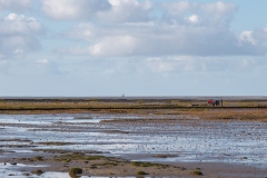 Wattwandern bei Büsum