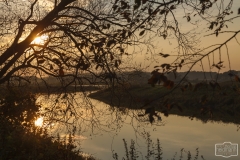 Sonnenuntergang auf dem Stellplatz Dömitz an der Elbe