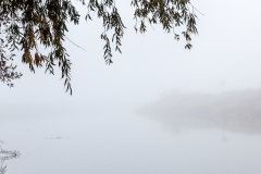 Nebliger Morgen auf dem Stellplatz Dömitz an der Elbe