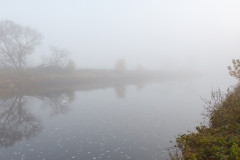 Nebliger Morgen auf dem Stellplatz Dömitz an der Elbe