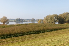 Elblandschaft bei Dömitz