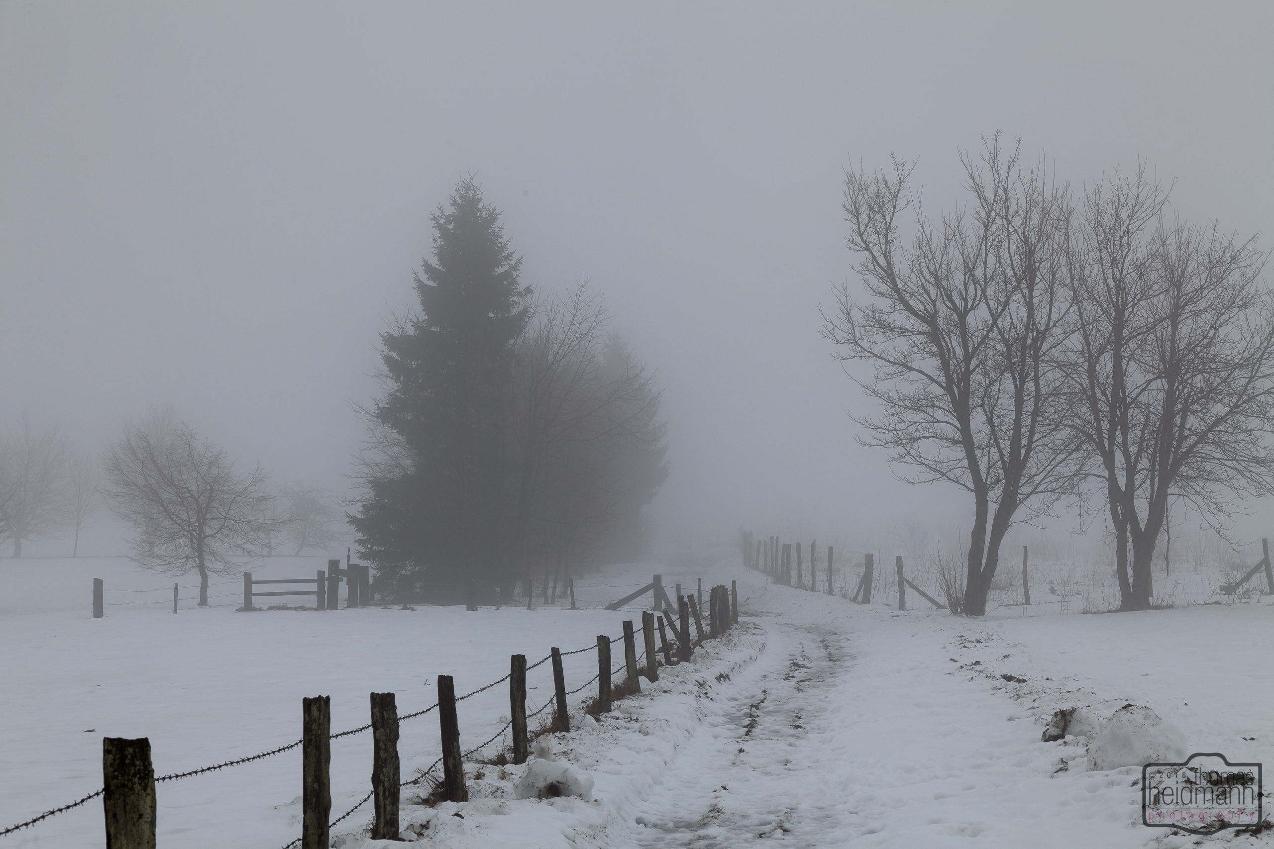 Wanderung auf dem kahlem Asten im Nebel