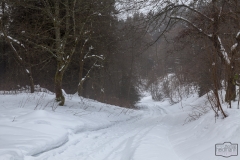 Wanderung in Winterberg OT Neuastenberg