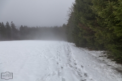 Wanderung auf dem kahlem Asten im Nebel