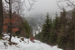 Wanderung auf dem kahlem Asten im Nebel