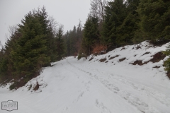 Wanderung auf dem kahlem Asten im Nebel