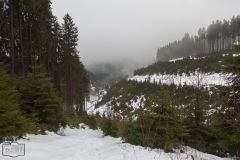 Wanderung auf dem kahlem Asten im Nebel