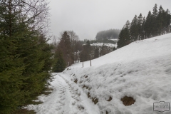 Wanderung auf dem kahlem Asten im Nebel