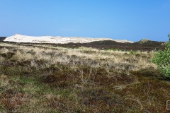 Wanderdünen von Sylt