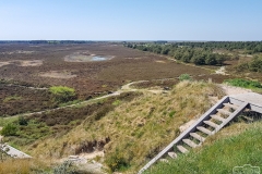 Ausblick vom Høstbjerg auf Rømø