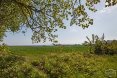 Blick auf die Kerteminder Bucht auf der Insel Fyn