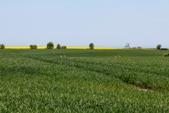 Radttour durch Schleswig-Holstein bei Maasholm an der Ostsee