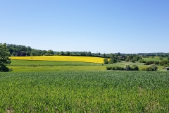 Radttour durch Schleswig-Holstein bei Maasholm an der Ostsee