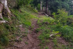 Wanderung zum Hexenwasser in Söll