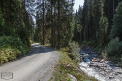 Radtour hinauf zum Wildkogel