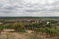 Radtour von Nordheim nach Würzburg