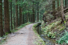 Wanderung in Altenau