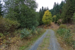 Wanderung in Altenau