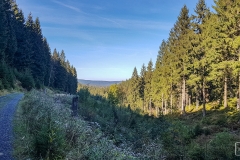 Die Wanderwege um Altenau sind sehr schön