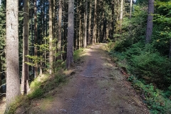 Schöne Wanderstrecke