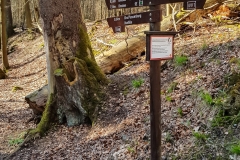 Wegweiser Ilsetal