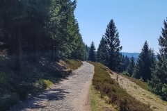 Steiniger Wanderweg am Ekerstausee