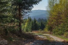 Blick auf den Brocken