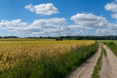 Weg nach Kappeln