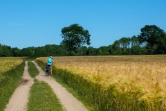 Radweg an der Schlei