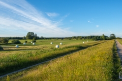 Spaziergang im Sonnenuntergang