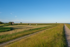 Spaziergang im Sonnenuntergang