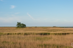 Die Vogelschutzhütte