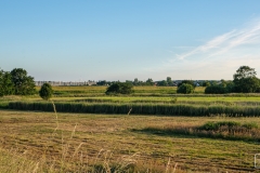 Blick auf den Maasholmer Yachthafen