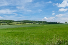 Wanderung zum Christeroder Wasserfall