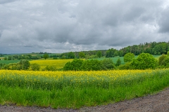 Wanderweg "Nuff & Nopp" - Wandern im Knüllgebirge