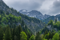 Radtour durchs Allgäu nach Füssen - Schloss Neuschwanstein