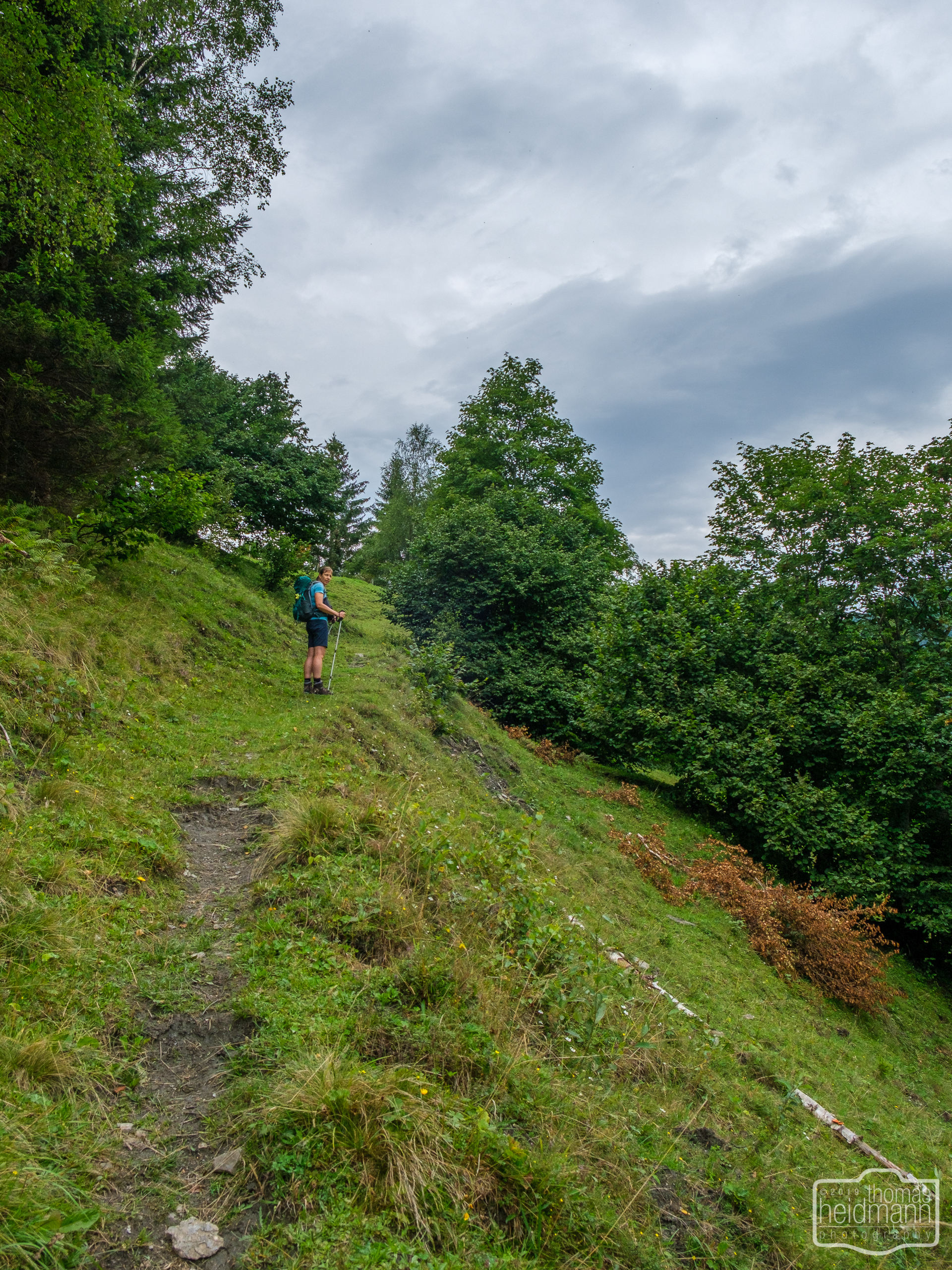 Wanderung zur Hirschgrubenalm und Modereggalm - Steiler Wanderweg