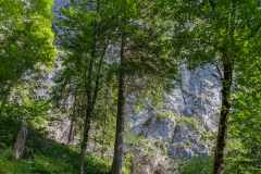 Wanderung zum Grünstein und zur Kuhrointalm