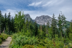 Wanderung zum Grünstein und zur Kuhrointalm - Blick auf den Watzmann