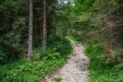 Wanderung zum Grünstein und zur Kuhrointalm - recht steiler Anstieg