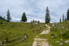 Wanderung zum Grünstein und zur Kuhrointalm