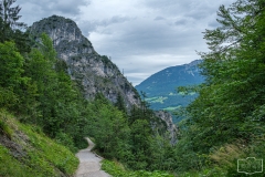 Wanderung zum Grünstein und zur Kuhrointalm