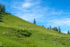 Wanderung zum Jenner-Gipfel - Almblick