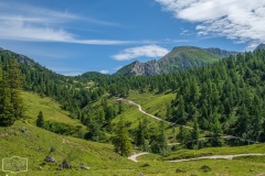 Wanderung zum Jenner-Gipfel - der Weg