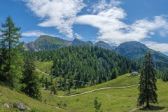 Wanderung zum Jenner-Gipfel - der Weg